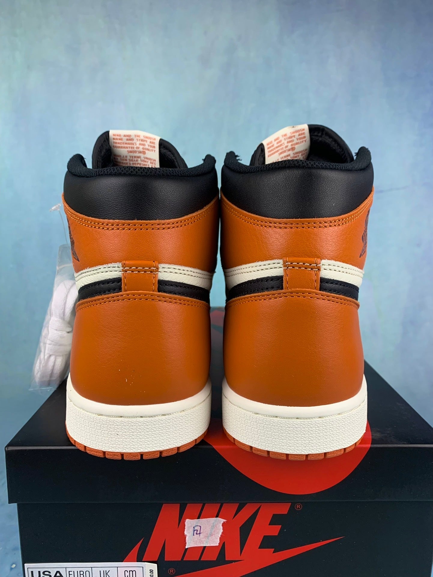 Air Jordan 1 High-Top Men's Sneakers